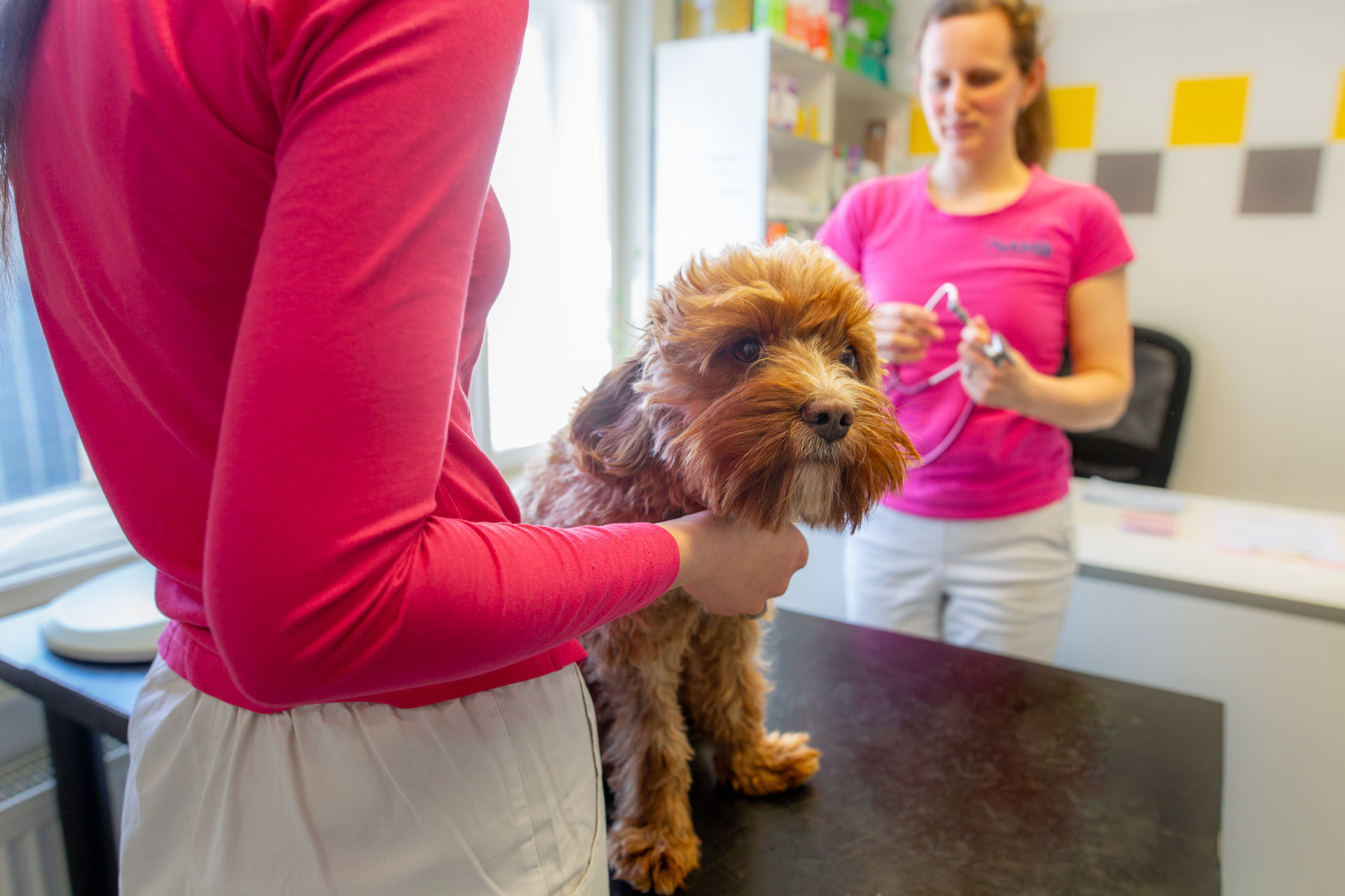 Naše veterinární klinika