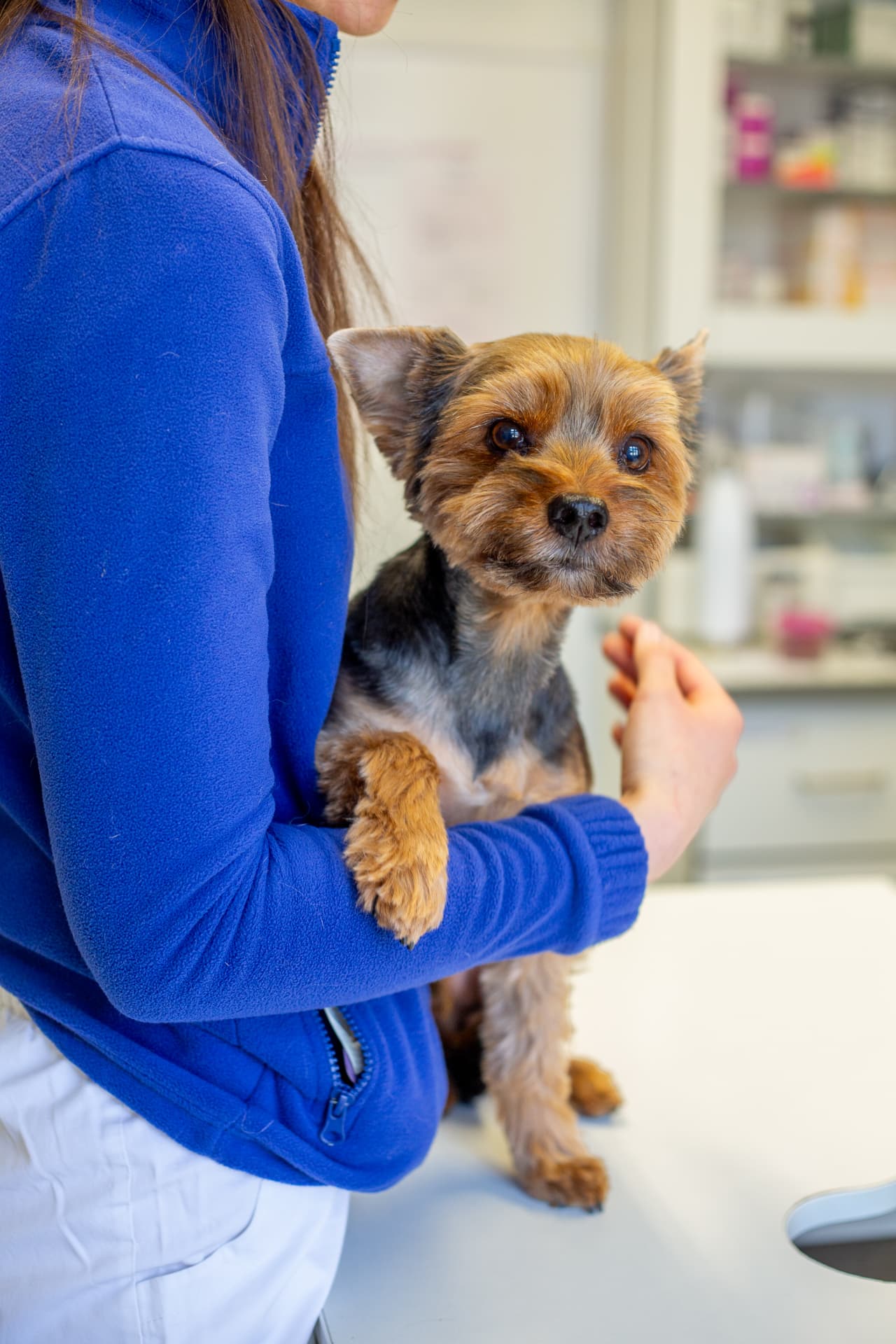 Veterinární lékařka s pejskem